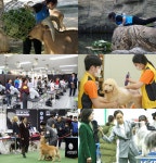 서울예술실용전문학교 애완동물과정, 실무교육 기반한 실무형 인재 양성 지원