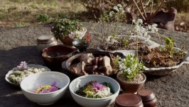한국인의 밥상 구례 산수유, 지심도 동백, 낙화담 들꽃, 섬진강 재첩…봄꽃 밥상