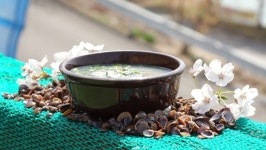 한국인의 밥상 구례 산수유, 지심도 동백, 낙화담 들꽃, 섬진강 재첩…봄꽃 밥상