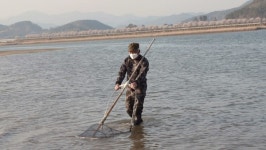 한국인의 밥상 구례 산수유, 지심도 동백, 낙화담 들꽃, 섬진강 재첩…봄꽃 밥상