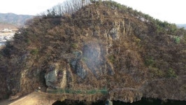 한국인의 밥상 구례 산수유, 지심도 동백, 낙화담 들꽃, 섬진강 재첩…봄꽃 밥상