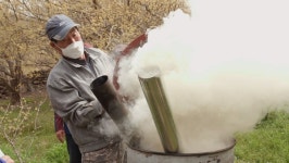 한국인의 밥상 구례 산수유, 지심도 동백, 낙화담 들꽃, 섬진강 재첩…봄꽃 밥상