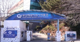 부산해양자연사박물관, 5월부터 대면 체험교육 찾아가는 자연사 박물관 재개