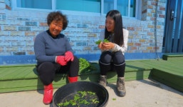 [EBS 한국기행] 숟가락 기행 돈목해변·꽃조개·풍성사구가 있는 우이도에 밥 먹으러 간다!