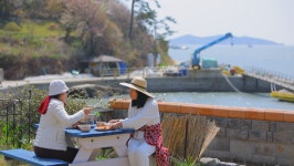 [EBS 한국기행] 숟가락 기행 산청, 우이도, 목포살이, 함평 시골 미술관, 동소우이도
