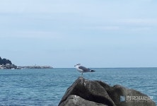 부산반송도서관, 초·중학교 학생과 성인 대상 명상 프로그램 운영