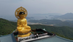 [EBS 한국기행] 막례 할머니와 상우 씨의 특별한 여행 수국정원, 통영 케이블카, 한려수도