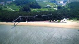 김영철의 동네 한 바퀴 장항 스카이워크 전망대, 구이·조림 박대요리, 공작선, 단팥빵, 콩국수…충남 서천