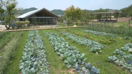 다큐온, 귀농·귀촌 농사만 짓지 않고 재미있는 지역살이 청년이 산다, 마을이 날다