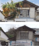 궁금한 이야기Y 경산 능소화나무 절단 사건, 미금역 버스 정류장에 묶여 있는 강아지들