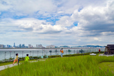 여름 경기도 가볼만한 곳 화성 궁평항 전곡항…경기바다와 함께 경기둘레길 갯길 걷기