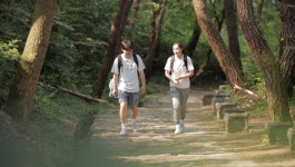 [EBS 한국의 둘레길] 배우 조현철과 송윤경의 경북 문경길 길박물관·하늘재·토끼비리·고모산성·오미자테마터널