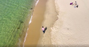 이만기의 동네 한 바퀴 해운대 해수욕장 달맞이고개 해리단길 청사포 복국…해운대구