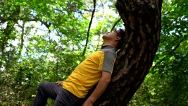 자연의 철학자들, 최세현·이종숙 부부의 철학 우리는 숲처럼 산다