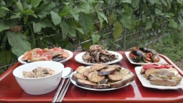 한국인의 밥상, 고성-치자 여주-가지 영월-토마토 색(色)다른 여름, 맛에 물들다