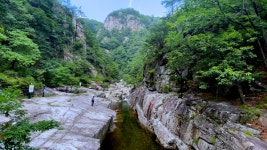 영상앨범 산, 오대산 국립공원 등산코스…소금강산 월정사 전나무 숲길 상왕봉 비로봉