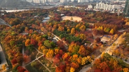동네 한 바퀴, 서울숲 카페거리 금남시장 보쌈 수도박물관 수제 버터 수제화 장인…서울 성동구