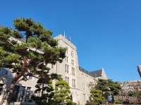 고려대학교 경영전문대학원, 코넬대·칭화대·싱가포르국립대 등 회원교 중 2022년 올해의 CEMS 비즈니스 프로젝트상 수상