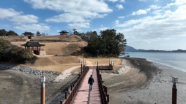 동네 한 바퀴, 청해진유적지 명사십리해수욕장 완도타워 감태 전복…이만기 완도 여행