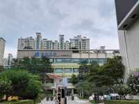 강남구, 예비초등학교 학부모 대상 두근두근 학교생활 미리보기 개최