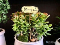 시작하기 좋은 나이, 오십 박미희의 신간도서 『다시, 설레기 시작했다』 출간