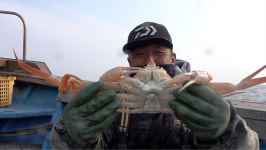 [EBS 극한직업] 기력과 입맛을 잡아라 장어와 대게잡이 현장을 찾아서