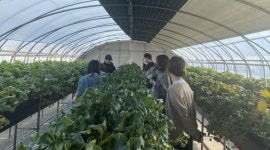 성주교육지원청, 지역사회 연계 특수교육대상학생 진로직업체험교육 실시