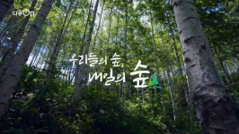 [다큐온] 인공 숲의 기적 그린 미라클 한국, 몽골 고비사막에 도움의 손길 건네다