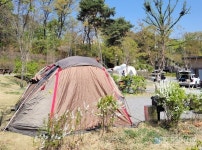 캠핑 인기에 전국 일반야영장 2천689개, 캠핑카·트레일러 이용 자동차야영장 591개로 캠핑장 늘어