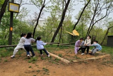 서울시, 전문숲해설가 진행 역사·문화 등 산림 정보 교육 놀이 체험 숲 해설 프로그램 운영