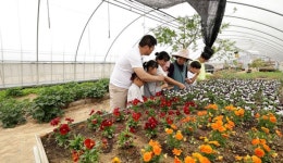 [EBS 고향민국] 과거와 현재가 공존하는 영주 그리운 맛, 고향