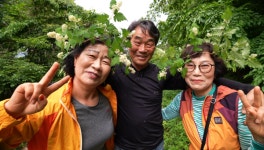 [EBS 고향민국] 살아보고 싶은, 고성 청광마을 세 친구! 박진사 고택에서 시간 여행