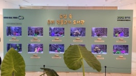 고양 화정도서관, 쉬리 버들치…도심 속 민물고기 이동도서관 운영