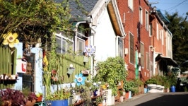 동네 한 바퀴, 달성토성마을 수구레국밥 커피농장 청년 공구빵 도동서원 은행나무…대구 여행