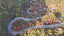 [EBS 한국기행] 꽃보다 단풍 충북 단양, 노부부의 네 바퀴 로망스