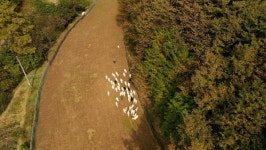 한국인의 밥상, 임실 치즈 감된장 감식초 백년~막걸리 코숭어젓 해삼 내장젓갈…가을 발효 밥상