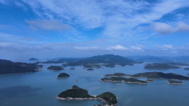 [EBS 한국기행] 가을 채우다 전남 고흥의 대청마을! 대한민국 유자 1번지