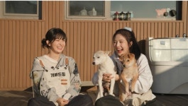 TV동물농장, 미스터리냥 강동원/개봐드림 레드벨벳 슬기&조이의 우당탕탕 돌봄 서비스