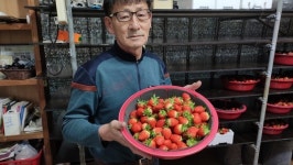 생활의 달인 통영 딸기, 은둔식달-서울 계란찜 삼대장, 오목 승률 99%, 숟가락 달걀 까기…달인 소개