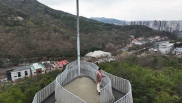 동네 한 바퀴, 비봉산 망해암 시나몬롤 주꾸미철판볶음집 안양유원지 전통 삼계탕…안양 가볼만한 곳 소개