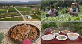 한국인의 밥상, 메밀묵과 태평초 부석태-청국장찌개 김치콩국…영주시의 식문화
