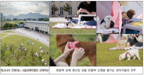 한글날에 어디 갈까? 서울공예박물관 공예마당에서 반려견과의 동행 펫크닉 운영