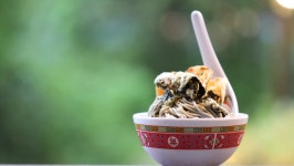 동네 한 바퀴, 소양강 처녀 숲속 빵집 들기름 막국수 아이스크림… 춘천 여행에서 가볼만한 곳과 맛집 소개