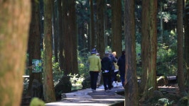 영상앨범 산, 배우 이수련과 오름 사진작가 최경진의 제주 거친오름·정물오름 여행