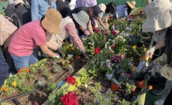 서울시, 매력가든·동행가든 함께 만들어갈 시민정원사 양성교육 운영