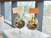 와인을 통한 소통과 힐링 올댓매너연구소 '와인 테라리움', '와인 감정 커뮤니케이션' 강의 개설