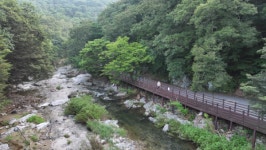 동네 한 바퀴 알밤육회비빔밥, 산성시장, 마곡사, 27첩 자연치유밥상, 풀꽃문학관… 공주 가볼만한 곳과 맛집 여행