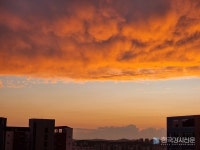 [남상욱의 스마트폰 사진 잘 찍는 법] 예쁘면 찍는다, 내 눈에. 사진은 기술이 아니라 습관이다.