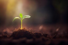 [엄서영의 오행과 에너지] 공간에 안정을 심으세요