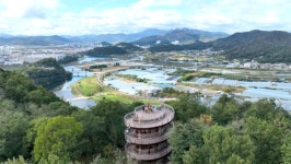 [동네 한 바퀴] 월남쌈 돈가스, 볕뉘, 얼음골 사과 농부, 경남식 추어탕… 밀양 가볼만한 곳과 맛집 여행